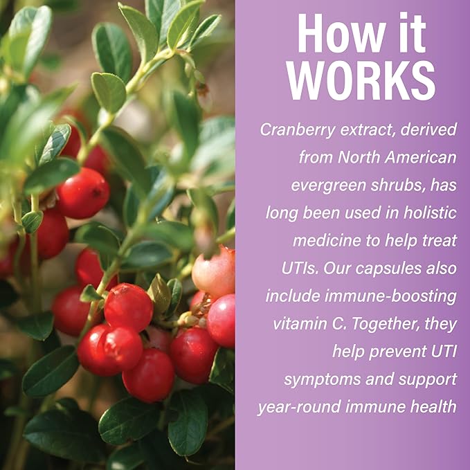 Plant Therapy Cranberry Extract Capsules with Vitamin C Manufactured in USA 4 Month Supply Supports Urinary Tract Health Supplements for Women Herbal 120 Vegetarian Capsule