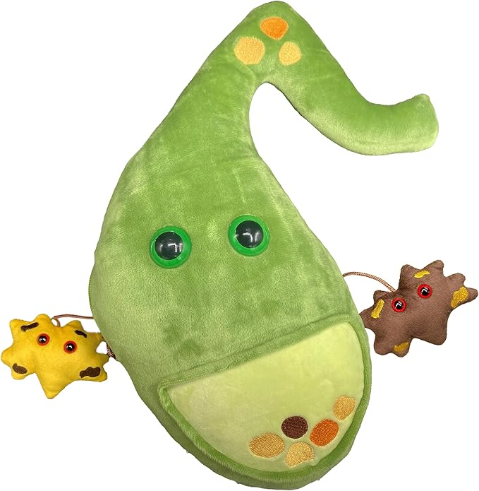 GIANT MICROBES Deluxe 14" Gallbladder Plush with Gallstones, Biology Stuffed Animal, Gallbladder Surgery Recovery Gifts, G...