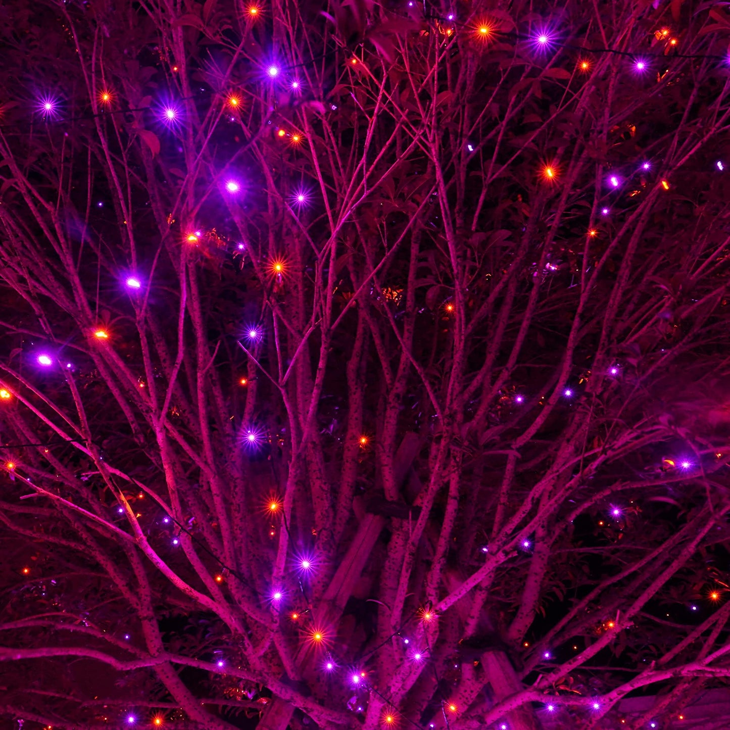 Dazzle Bright 200 Led Halloween Mini String Lights, 65Ft, Waterproof, 8 Modes, Purple & Orange For Indoor/Outdoor Decorations