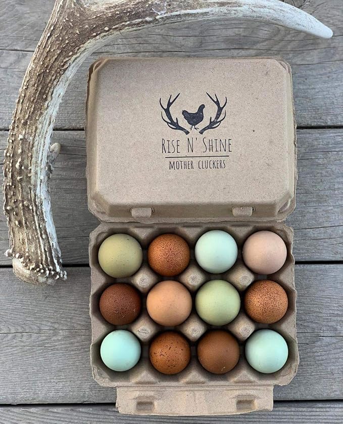 "Vintage Egg Cartons for 12 Large Eggs – Classic 3x4 Layout – Durable Recycled Cardboard – Farmhouse Style – Eco-Friendly Packaging - Tan 65 Pack
