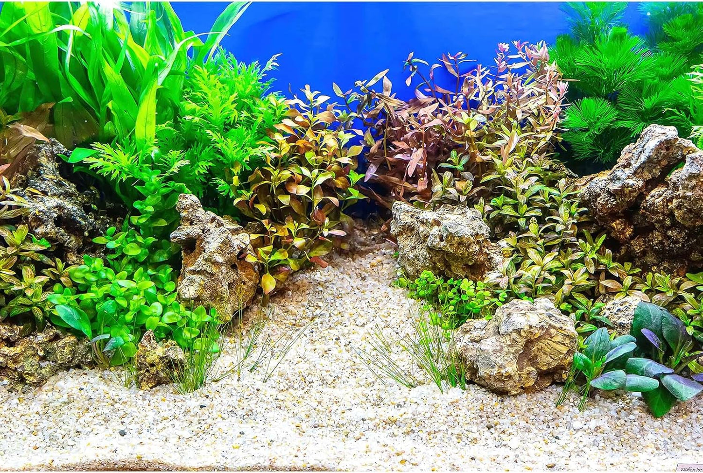 Aquarium Background Underwater Grass Leaves with Pebble Aquarium Backdrop Vivid and Fresh Green Aquatic Plant Stone River Bed and Lake Fish Tank Background Decor Vinyl 72x16in