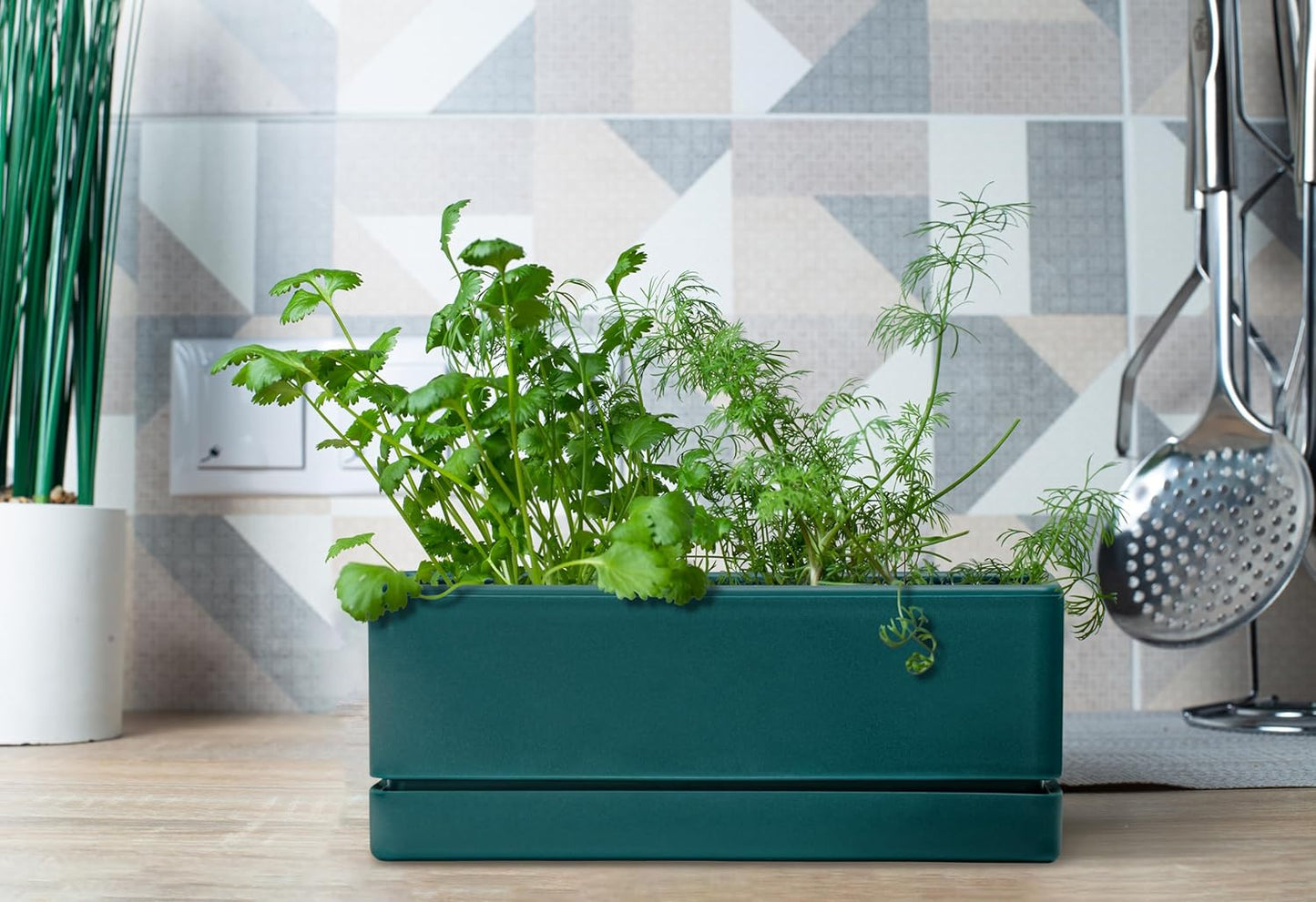 D'vine Dev 12 Inch Window Box Planter, Rectangle Plastic Herb Planter with Drainage Holes and Saucer, Indoor Succulent Cactus Vegetable Pot for Windowsill, Garden Balcony, Green, Set of 1, 76-X-C-1