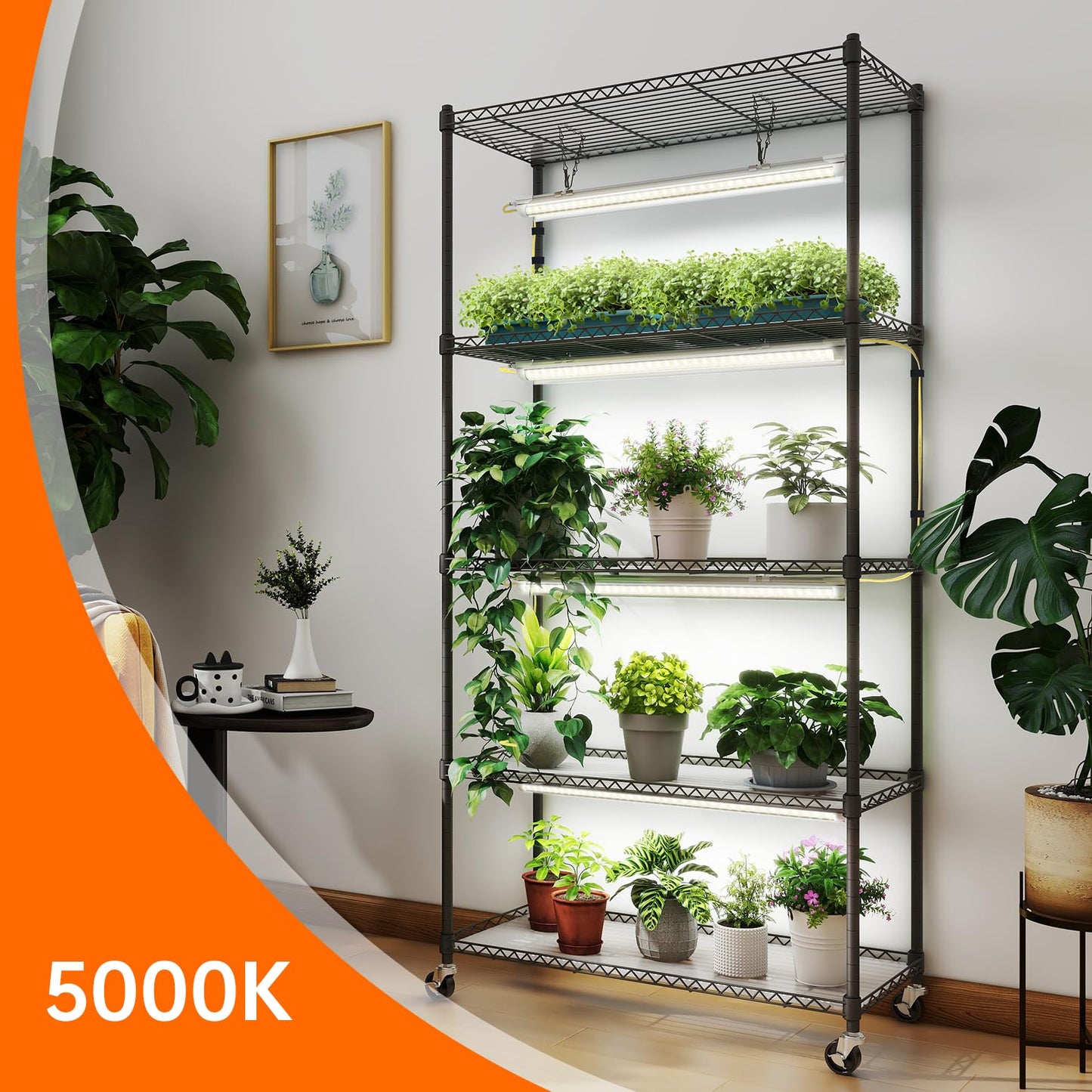Bstrip 5-Tier Plant Shelf with Grow Lights, T8 24W Full Spectrum LED, 5000K, White, Model INW55660T652Jc, 29.