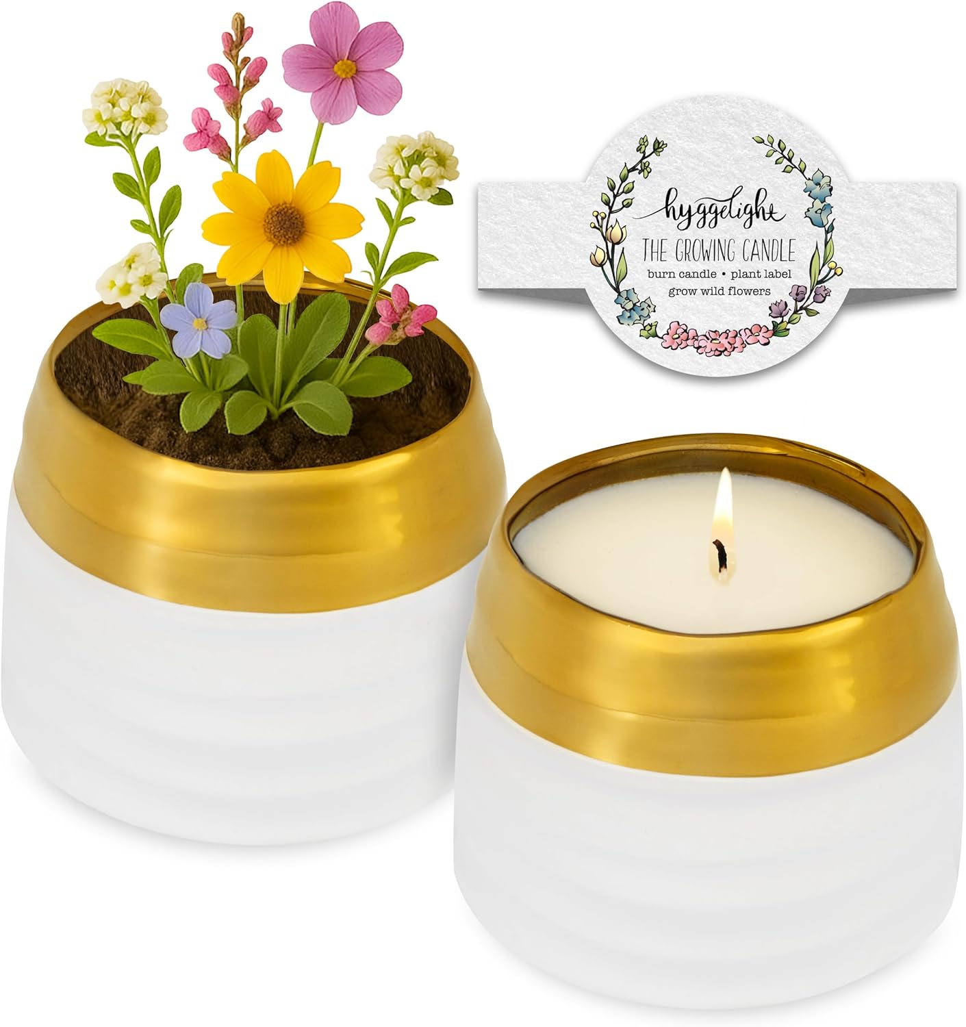 The Growing Candle, Mint & Eucalyptus Scented, 10oz Ceramic Pot, Aromatherapy Candles, 100% Soy, Clara
