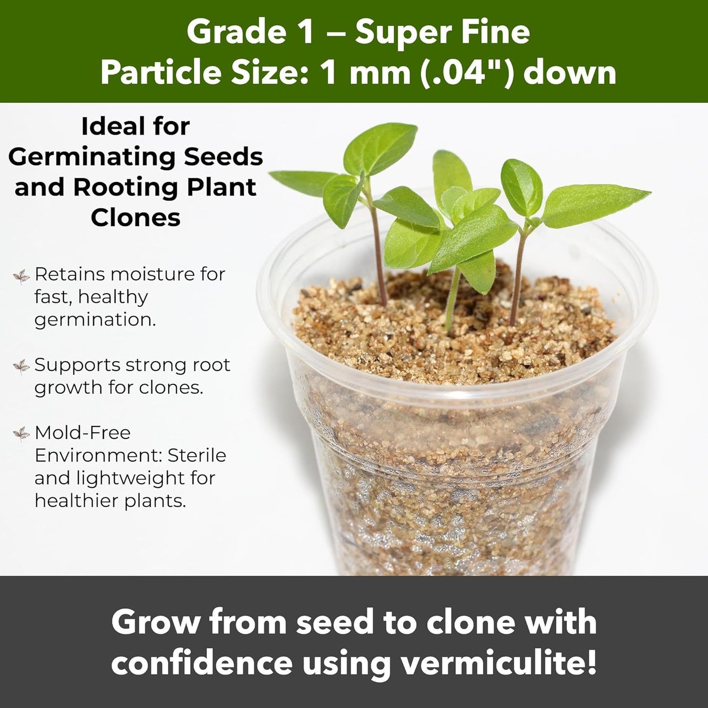 Organic Superfine Vermiculite for Indoor Gardening Plants and Mushrooms – Enhances Soil Aeration, Seed Germination, Rooting Cuttings – Small Packages and Bulk (Vermiculite Grade 1 - Superfine, 30 qts)