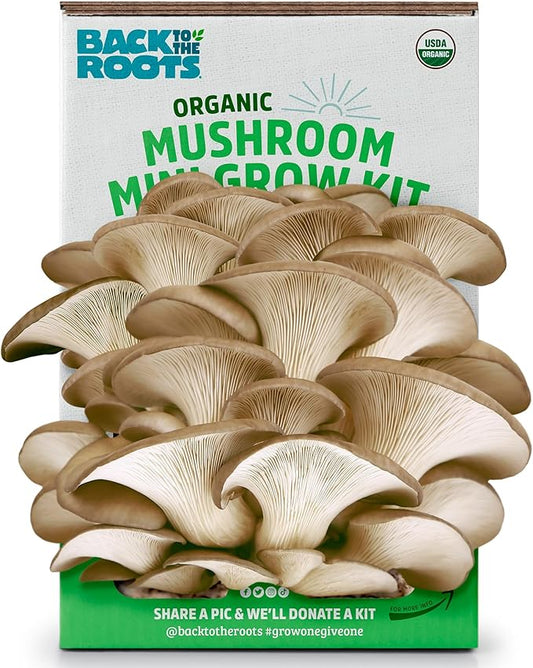 Back to the Roots Organic Mini Mushroom Grow Kit, Harvest Gourmet Oyster Mushrooms In 10 days, Top Gardening Gift, Holiday...