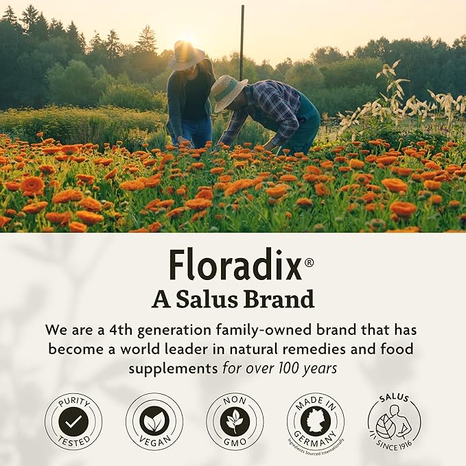 Floradix Iron Tablets - Iron Supplement with Folic Acid, Vitamin C & More - Energy Support* - Vegetarian, Gluten-Free - 80 Tablets