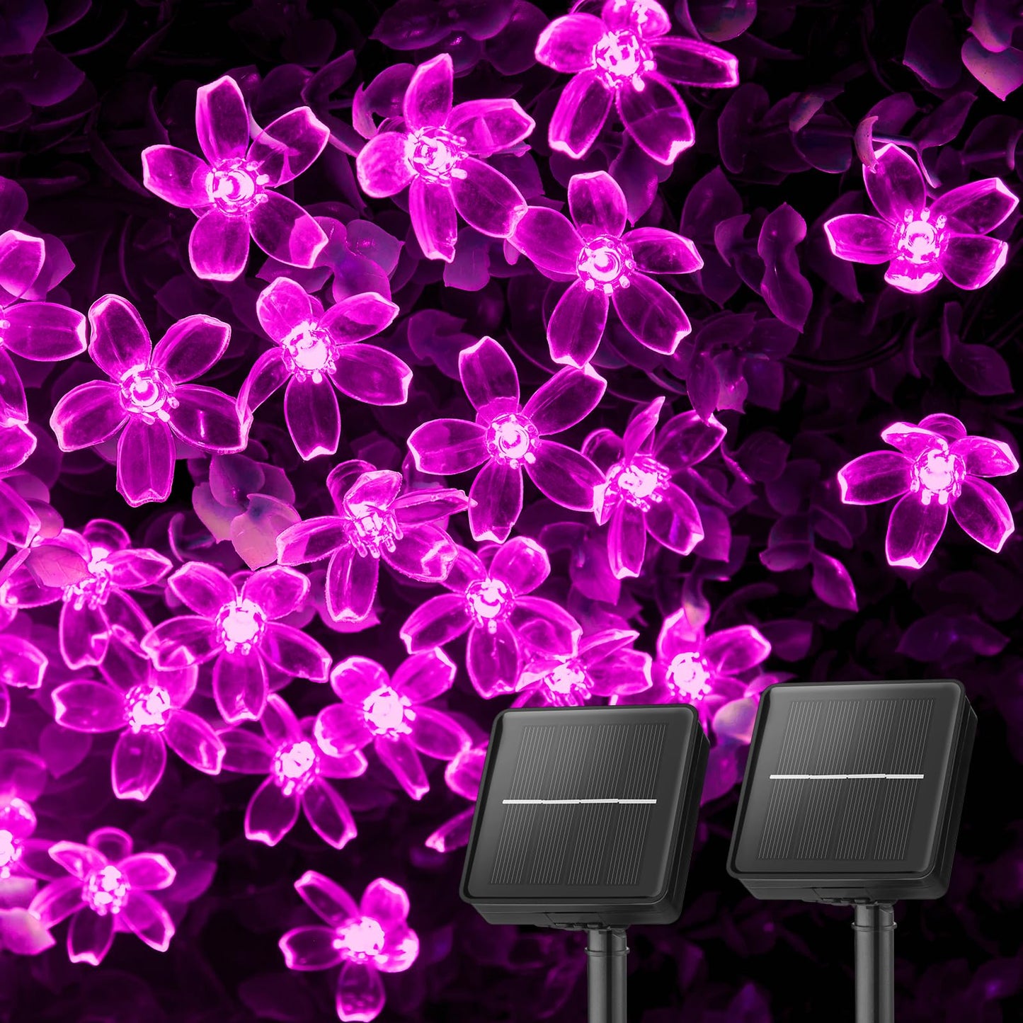 Brightown Solar String Lights, 120 LED Fairy Lights, 52FT, 2 Pack, Waterproof for Garden, Yard, Patio, Pink