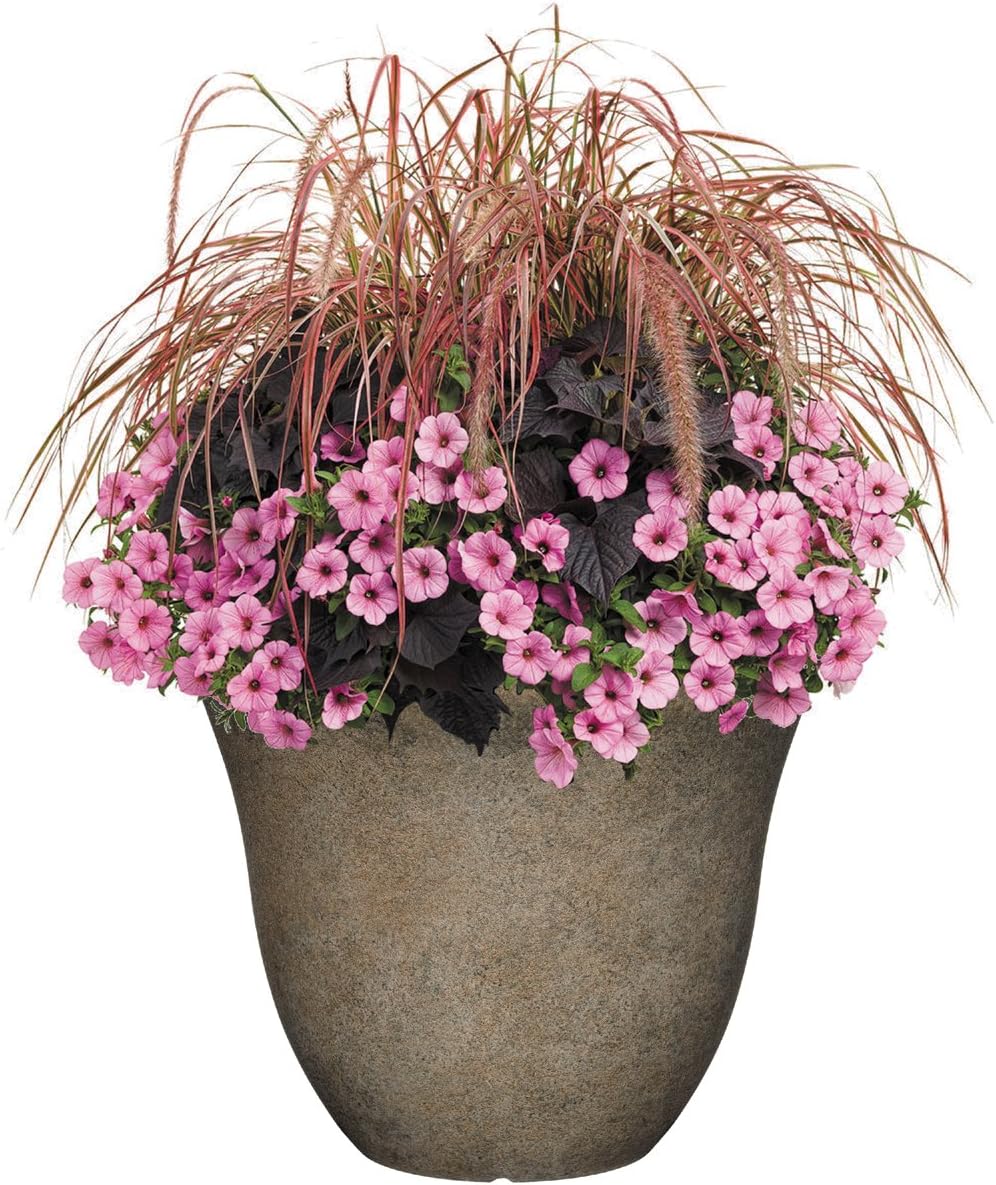 Classic Home and Garden Honeysuckle Resin Flower Pot Planter, Fossil Stone, 15" (Pack of 2)