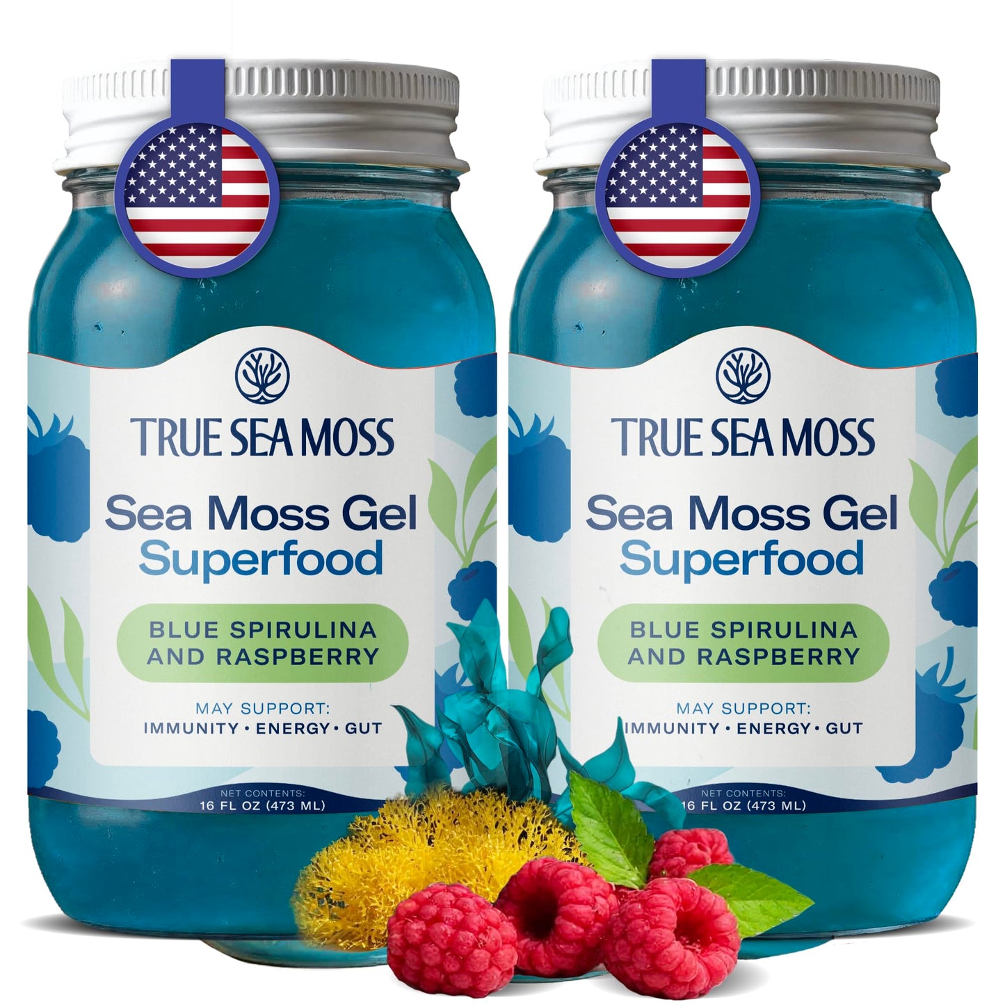 TrueSeaMoss Sea Moss Gel - Made in USA - Wildcrafted Seamoss, Fruits & Jarred Vegetables - Blue Spirulina, Pack of 2 (Labels may