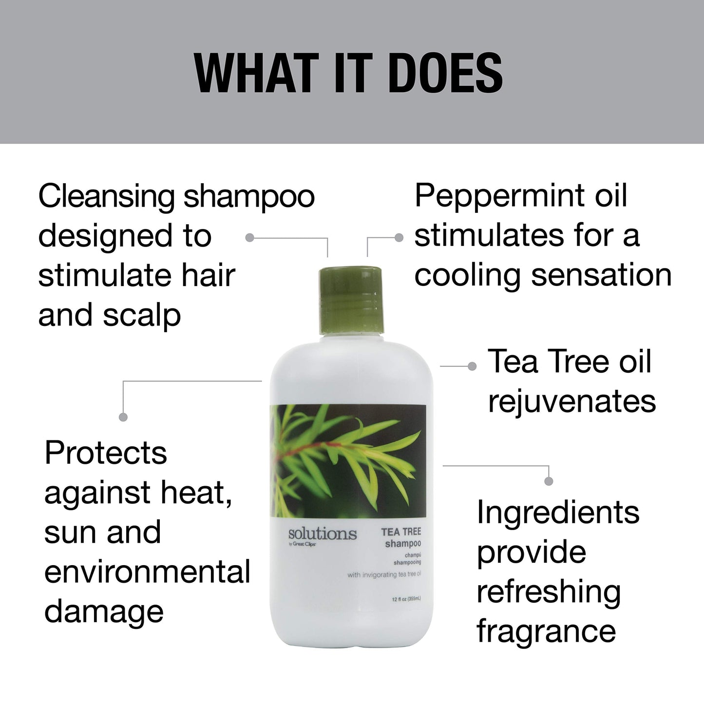 GREAT CLIPS Solutions Tea Tree Shampoo 12 fl oz | Natural Dry Scalp & Dandruff Treatment with Invigorating Essential Oils | Nour