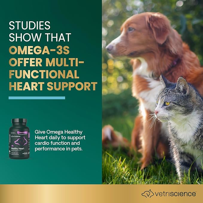 VetriScience Omega Healthy Heart Easy-Open Capsules, Cardio Strength Taurine and Omega-3 Supplement for Dogs & Cats, Heart Support Supplement, 90 Count