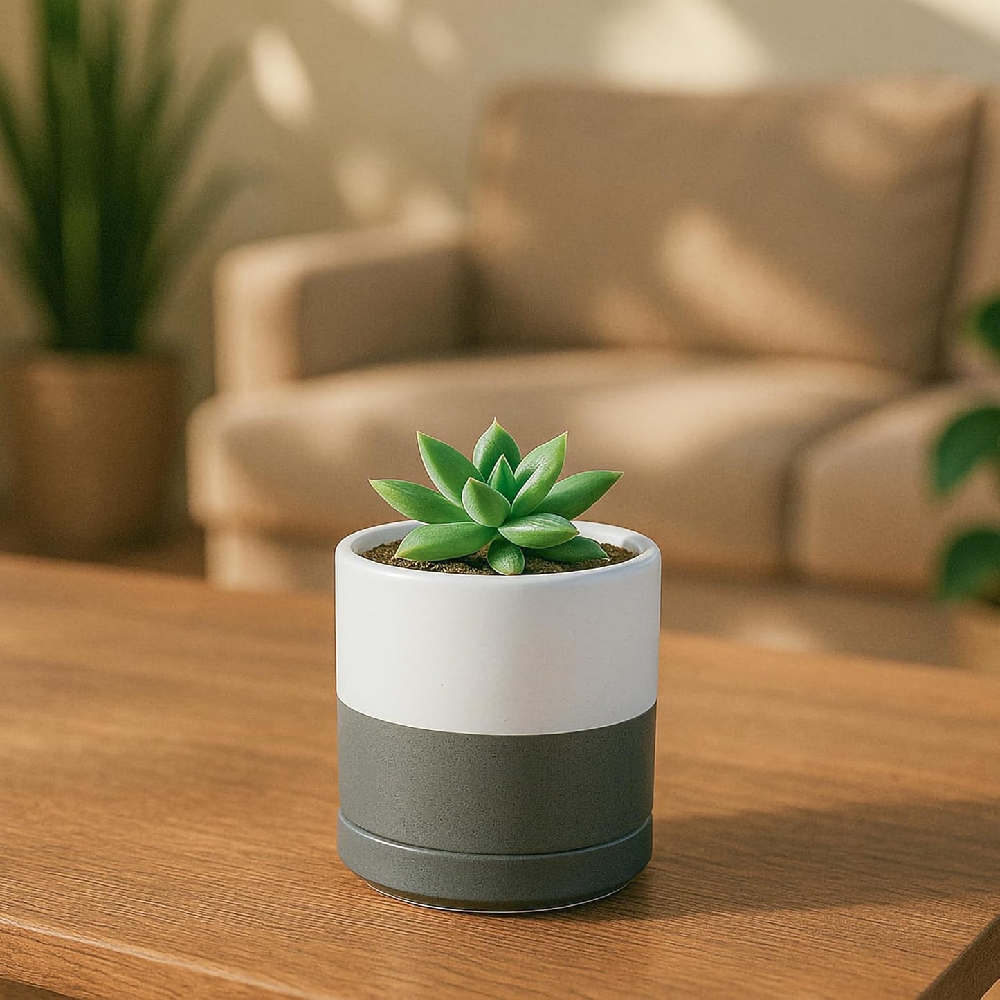 D'vine Dev 3 Inch & 4 Inch & 6 Inch, Set of 3 Round Ceramic Planter Pot with Drainage Hole and Saucer, White/Speckled Grey, 94-T-S-6
