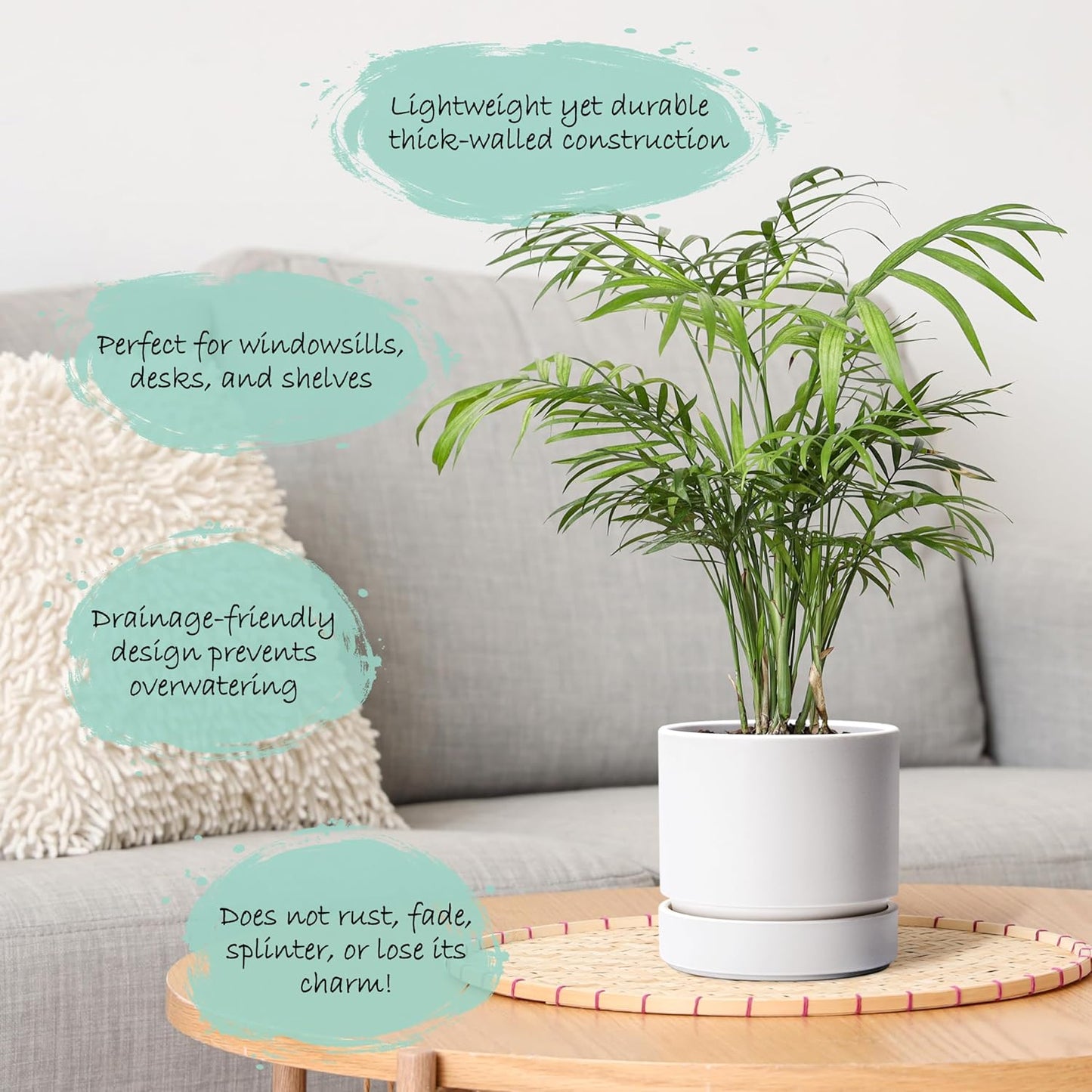 Phoenix Vine 6 Inch Planter Pot with Drainage Hole & Saucer, Deep Water Catch Tray, Straight Cylindrical Round Pot for Plants, Matte White, Pack of 1, 23-B-S-1
