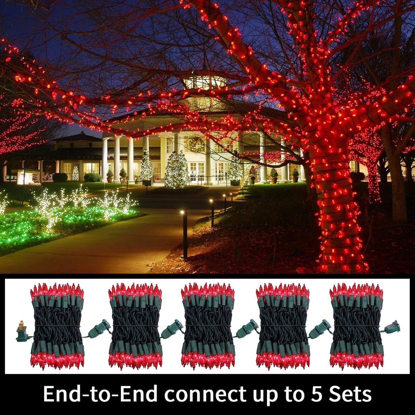 Lamphome 100 Count Red ValentineS Day Lights With 20Ft Green Wire Waterproof Mini String Lights For Holiday Decorations  Christmas Tree  Party  Wedding  Xmas  Home  Indoor & Outdoor Use