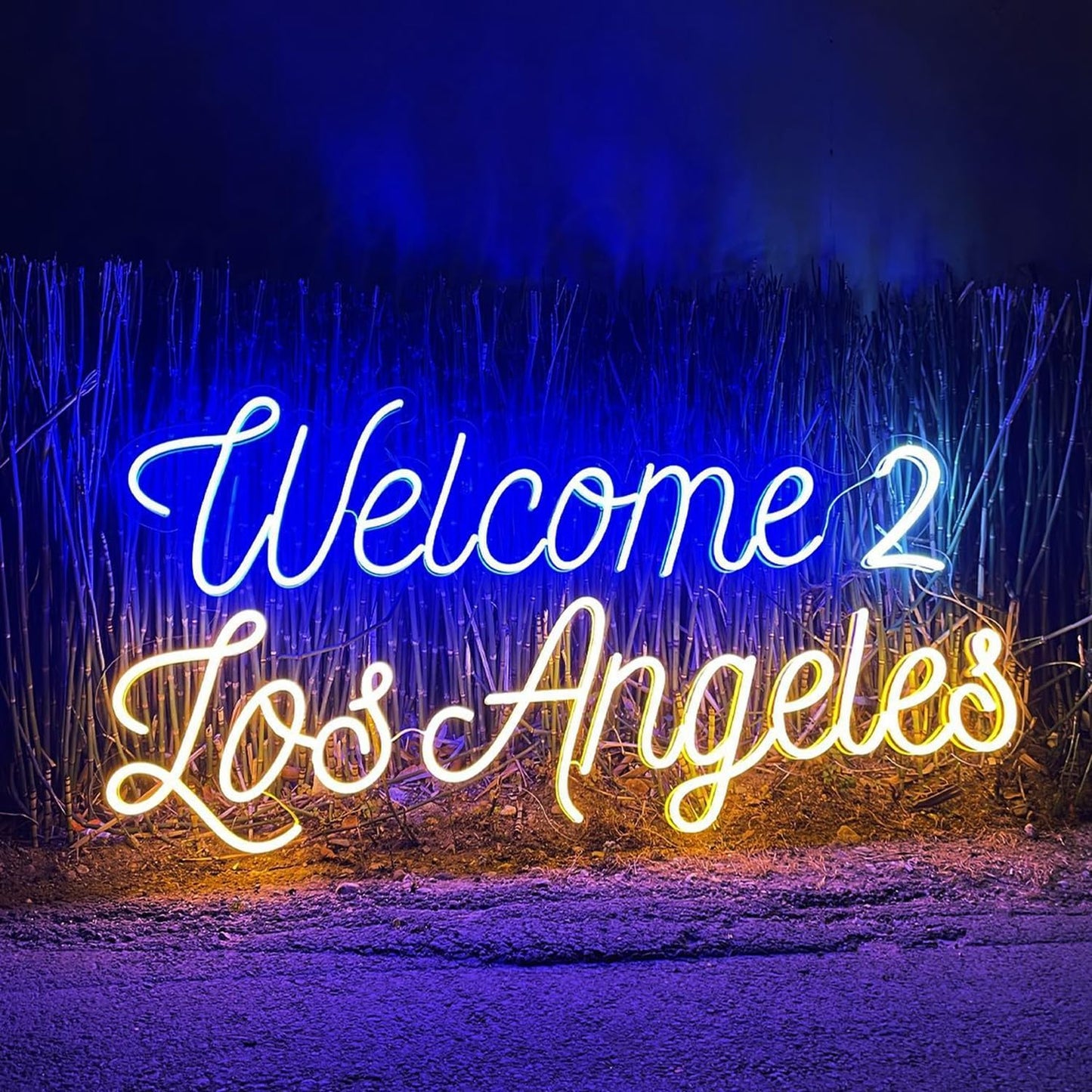 GYIODFU Neon Sign - Custom Wall Art, Dimmable, 40 Inch, PVC & LED Acrylic, Personalized Colors, Model N-LC01