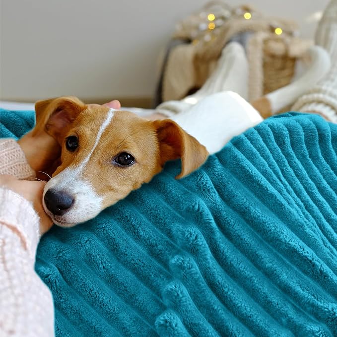 INFIIXSO Sherpa Fleece Queen Size Blanket - Super Soft & Warm Striped Fleece, Cozy Plush Fluffy Large Bed Blanket All Season Use (Teal, 90x90 Inches)