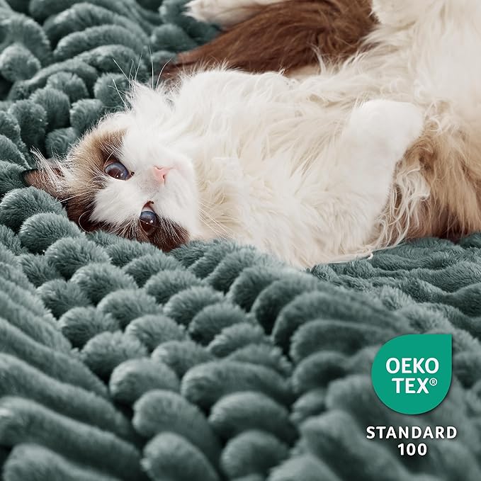 Bedsure Sherpa Blanket Twin Size for Couch - Super Soft, Cozy Fleece Thick Warm Blanket for Winter, GentleSoft Plush & Fluffy Throw Gift for Women, Home Room Decor, Dark Green, 60x80 Inches