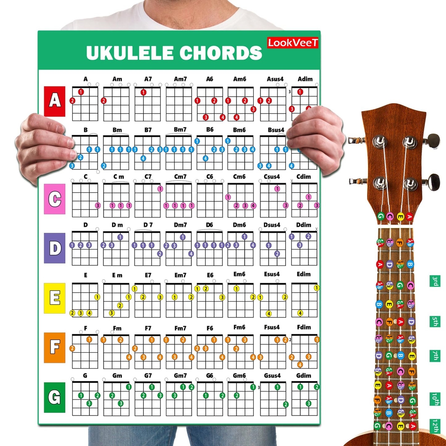 LookVeeT Ukulele Chord Chart Poster For Beginner And Portable A4 Laminated Chords