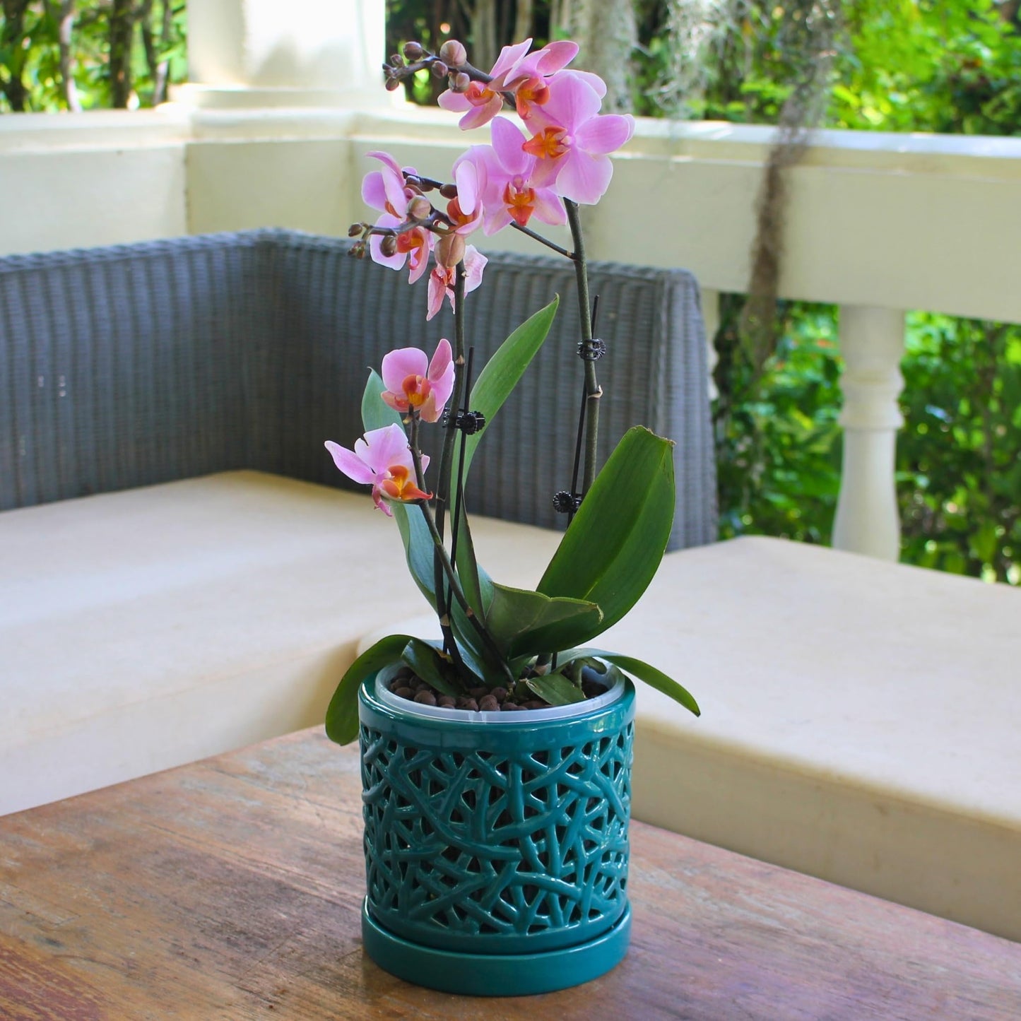 DESQUIGGLE Green Large Ceramic Orchid Pot with Holes, 6 Inches Wide, for Indoors or Outdoors with Woven String Cut Out Design, Orchid Planters, Orchid Gifts