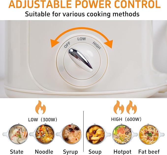 Electric Hot Pot with Steamer: 2.0L Ramen Cooker, Multifunctional Stainless Steel Electric Pot, Portable, Dual Power Adjustment for Dorm, Office, Travel