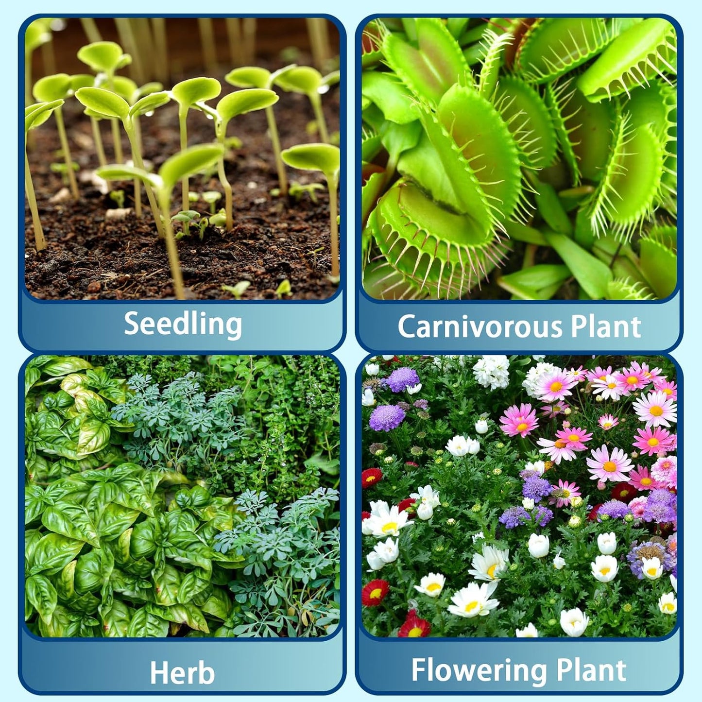 Sphagnum Peat Moss for Plants 4qt, Organic Garden Growing Soil Amendment and Media for Flowers, Vegetables, Herbs, Orchid, Indoor Houseplant