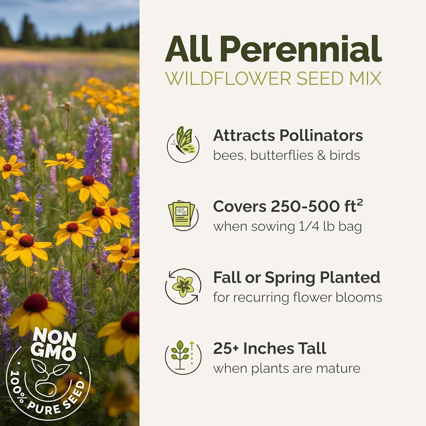 Eden Brothers All Perennial Wildflower Mixed Seeds for Planting, 50 lb, 24,000,000+ Seeds with Lupine, Shasta Daisy | Attracts Pollinators, Plant in Spring or Fall, Zones 3, 4, 5, 6, 7, 8, 9, 10