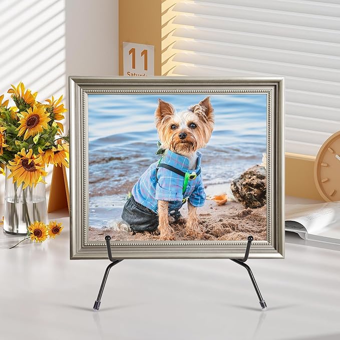 2 Pack Improved Anti-Slip Plate Stands, 10 Inch Black Iron Display Stands for Frames, Pictures, Books, Artworks