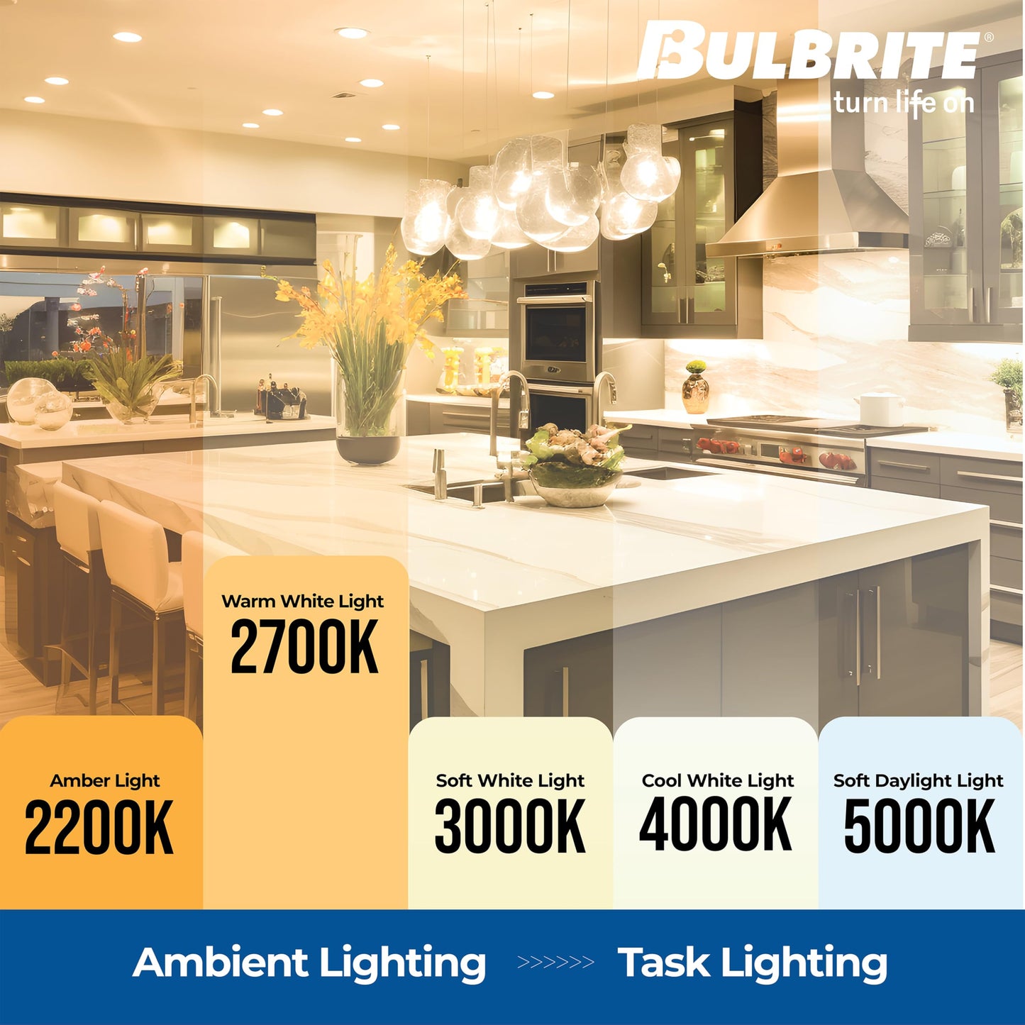 Bulbrite 4W LED G16 Decorative Globe Light Bulb, Clear Glass, E12 Base, 2700K, 4 Pack, Model 776873