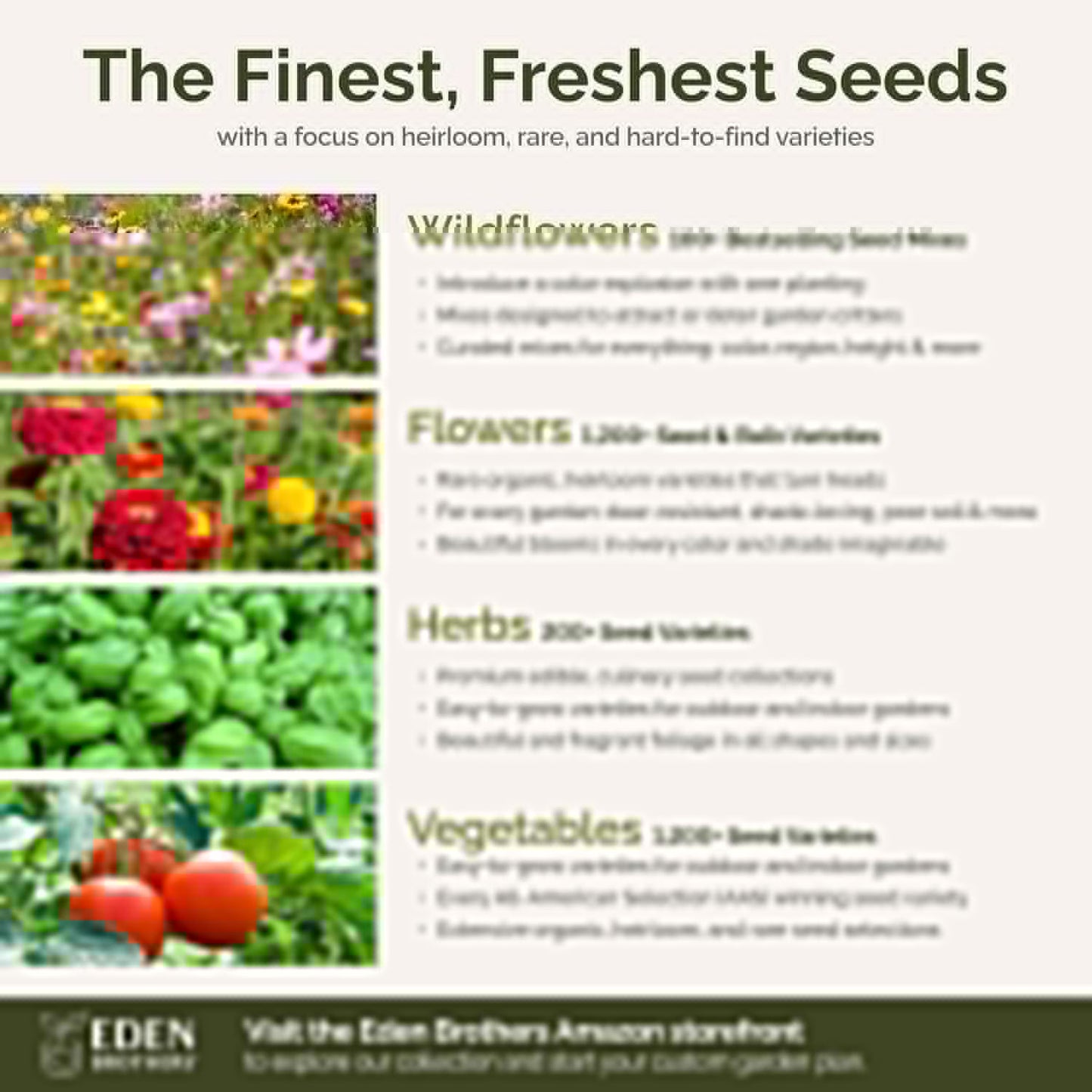 Eden Brothers Orange You Glad Flower Mixed Seeds for Planting, 1 lb, 480,000+ Seeds with Dahlia, Double Strawflower | Attracts Pollinators, Plant in Spring or Fall, Zones 3, 4, 5, 6, 7, 8, 9, 10