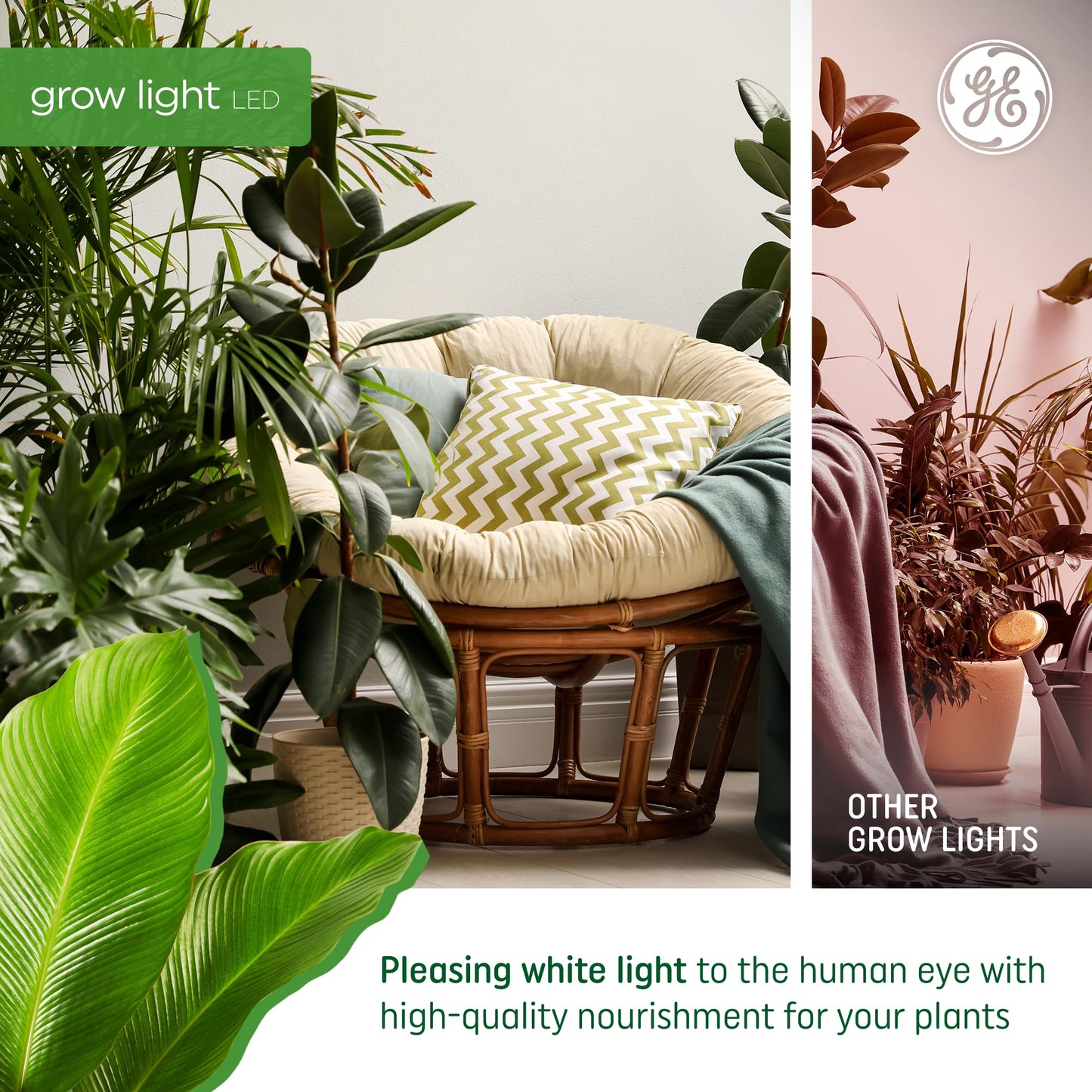 GE Lighting LED Grow Light Bulb, High Output PPF 15 µmol/s, A19, 2 Pack, for Flowers & Fruiting, Plastic