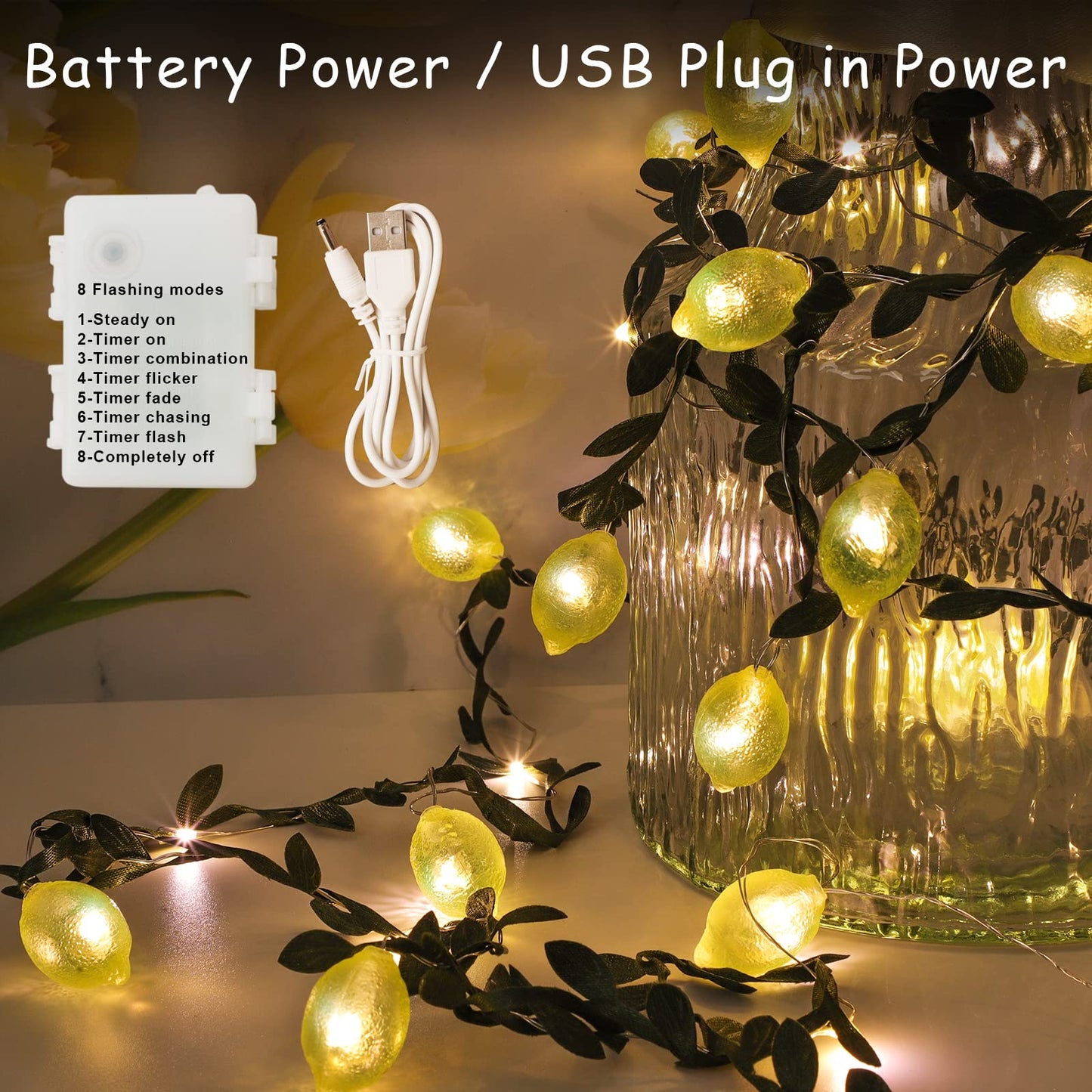 FLAVCHARM 3D Lemon LED String Lights, 10FT, 40 LEDs, USB/Battery Operated, Remote Timer, Fairy Lights for Bedroom and Party Decorations