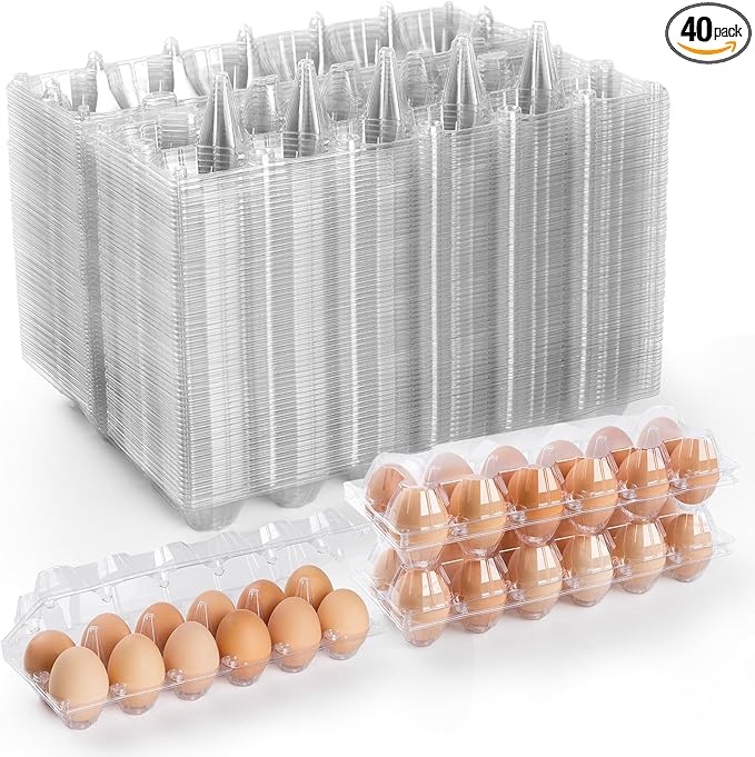 40 Pack Clear Egg Cartons Cheap Bulk,Plastic Egg Carton Bulk 12 Count,Reusable Egg Holder, Medium Egg Containers for Chicken Eggs 2x6 Grids
