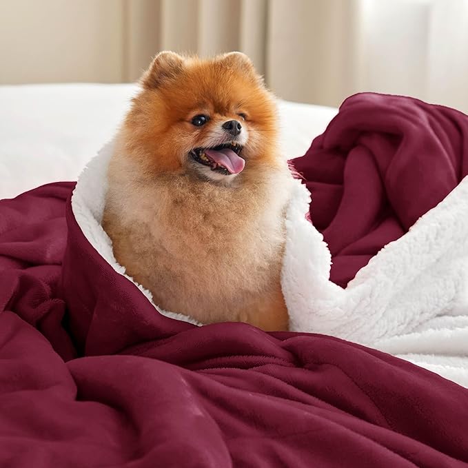 Bedsure GentleSoft Sherpa Fleece Blankets Queen Size for Bed - Thick and Warm, Soft Fuzzy Plush Queen Christmas Blanket for Winter, Burgundy, 90x90 Inches