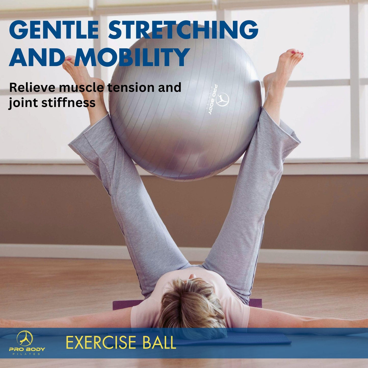ProBody Pilates Exercise Ball - Multiple Sizes Gym Grade Balance Ball for Fitness, Workout, Pregnancy & Physical Therapy, Stability Yoga Ball Chair (Blue, 45 cm)