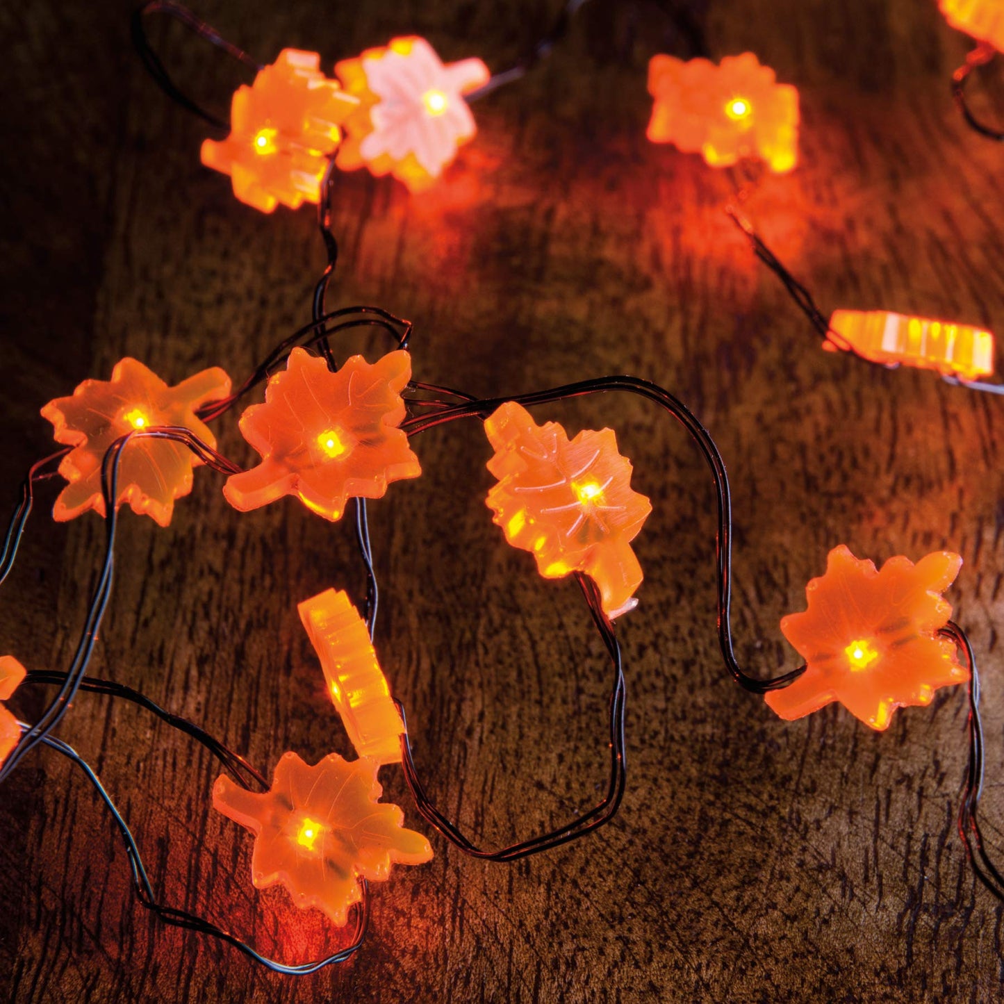 Primitives By Kathy String 20 Lights  42-Inch  Leaf