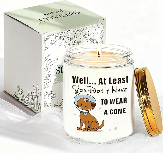 Get Well Gifts for Women, Get Well Soon Sympathy Gift for Her, Surgery Recovery Feel Better Present for Men, You Dont Have...
