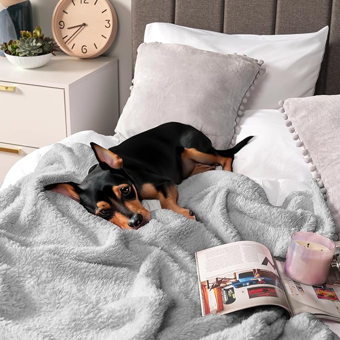 PAVILIA Sherpa Throw Blanket for Couch Sofa, Light Grey Fluffy Warm Plush Blanket for Twin Bed, Cozy Super Soft Lightweight Throw, Fuzzy Decorative Blanket, All Season Home, 60x80