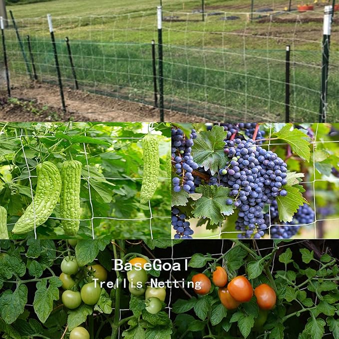 All-Weather Trellis Netting Mesh Plant Garden Vine Growing Flexible String Net (3.5" Mesh ployester, 5' Wx 30'L)
