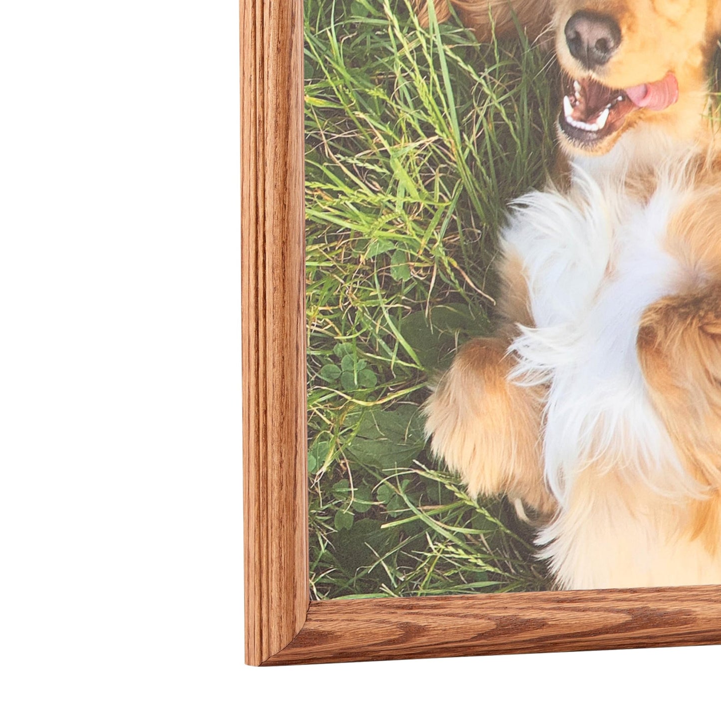 ArtToFrames 11x12 inch Honey Oak Wood Picture Frame, 2WOM01336-150-11x12