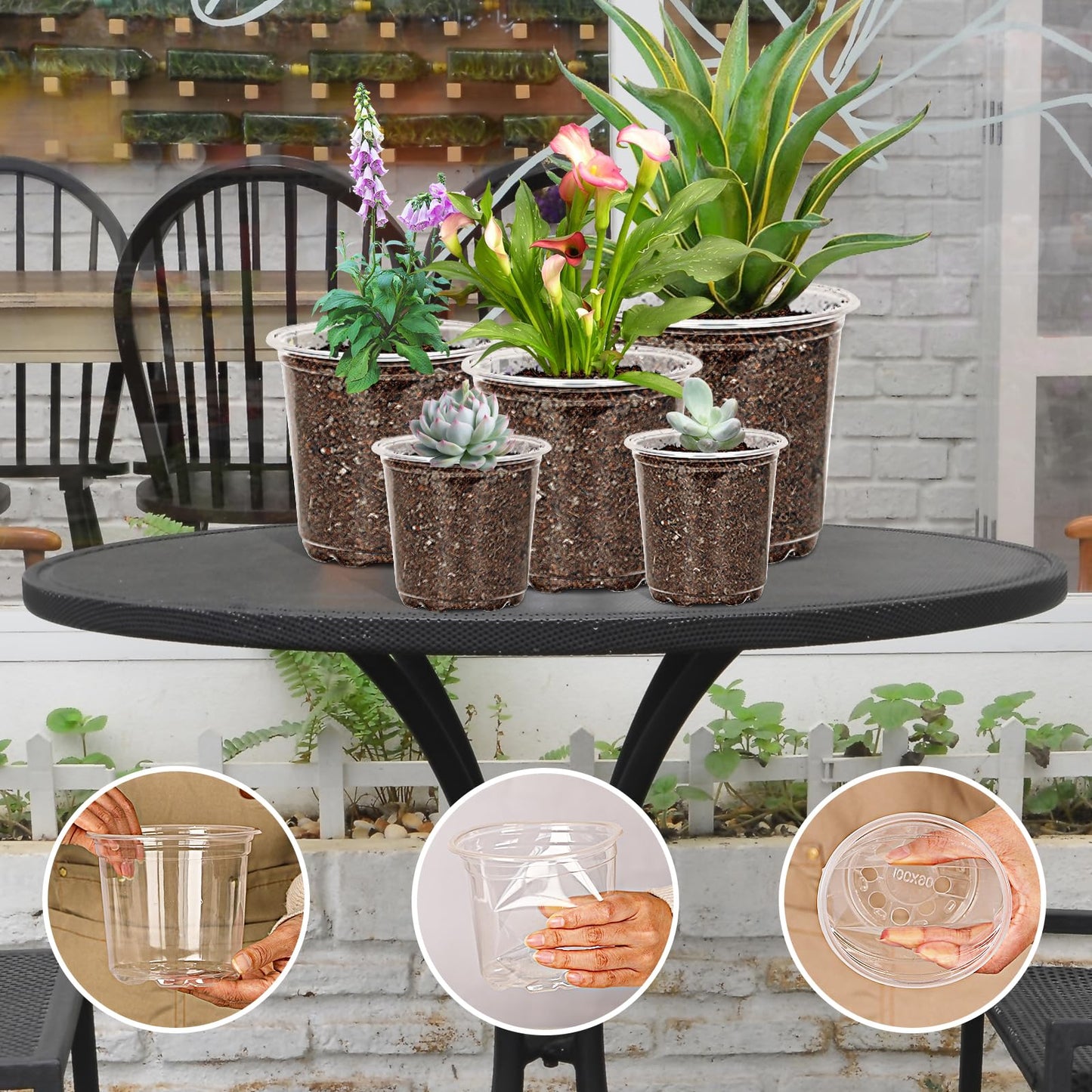 JNYONG 60 Pack 3.5/4/5/6/7 Inch Clear Nursery Pots with Drainage Hole,Variety Sizes Seed Starting Pots Transparent Plastic Plant Pots for Plants Transparency with 50 Plant Labels