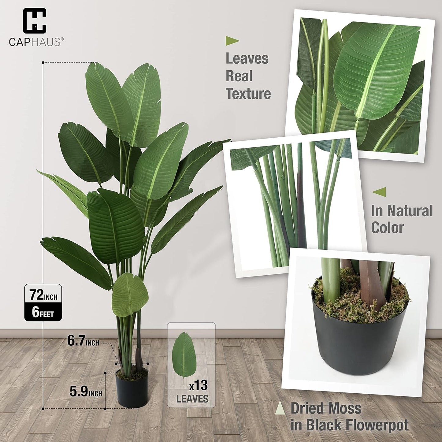 CAPHAUS 6 Feet Artificial Bird of Paradise, 72 Inch with 13 Trunks, Premium UV Resistant Lifelike Fake Plant in Pot with Dried Moss for Office, Indoor/Outdoor Use & Tropical Home Décor