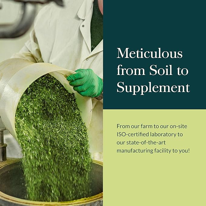 Gaia Herbs Plant Force Liquid Iron - Vegetarian Iron Supplement to Help Maintain Healthy Iron & Energy Levels - with Star Anise, Sea Buckthorn, Beet Root, Dandelion & Nettle - 8.5 Fl Oz (25 Servings)