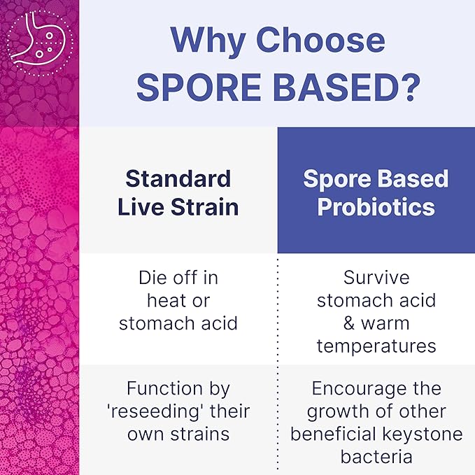 Microbiome Labs Heart Health Support Bundle - MegaSporeBiotic Spore Based Probiotic Supplement (60 Capsules) + MegaQuinone K2-7 Vitamin K Supplement (60 Capsules)