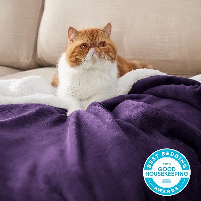 Bedsure GentleSoft Sherpa Fleece Throw Blanket Twin Size for Couch - Thick and Warm, Soft Fuzzy Plush Twin Blanket for Winter, Purple, 60x80 Inches
