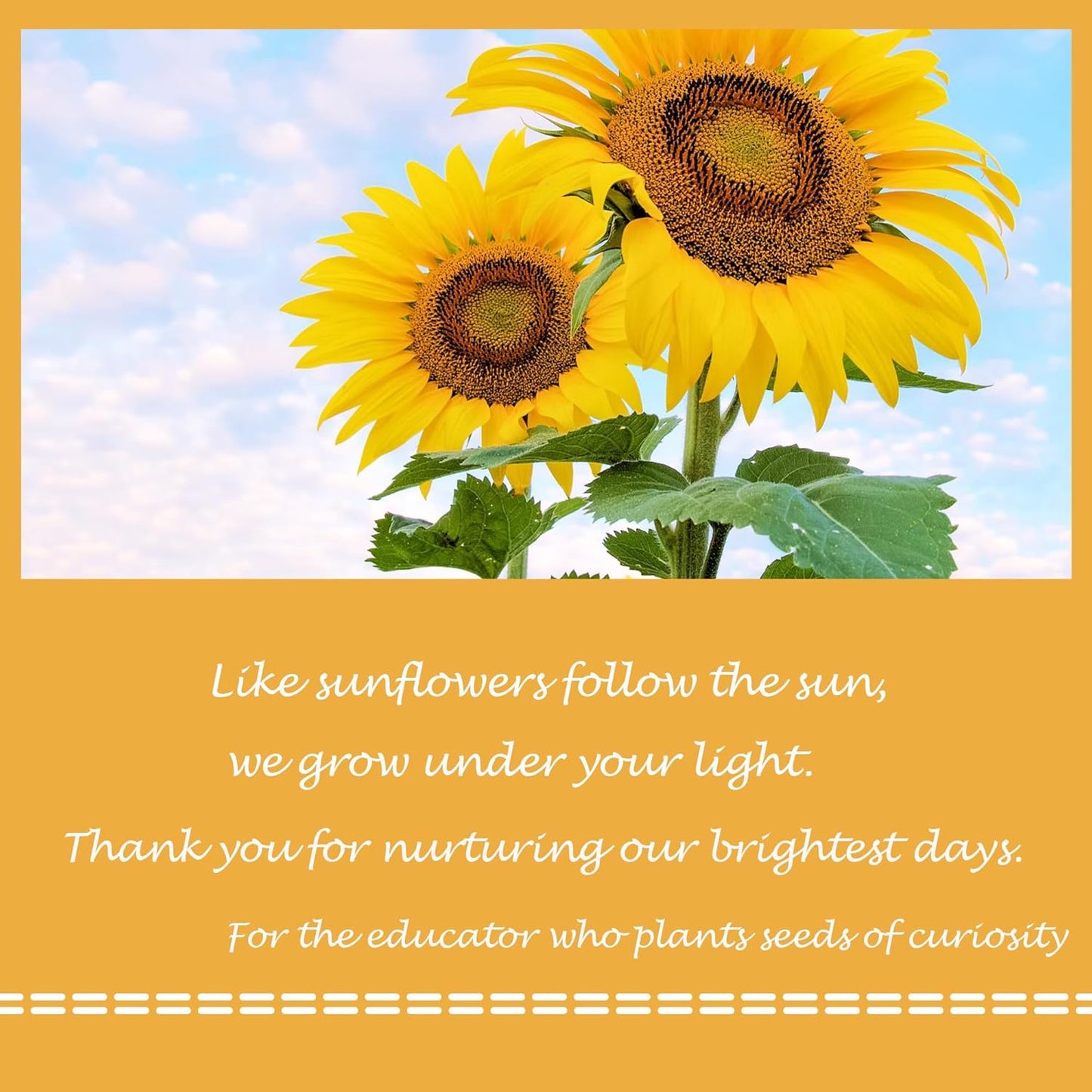 Airpark Pop Up Flower Card, 3D Greeting Card – Sunflower Bouquet – For Friend or Family – Cheer Up, Get Well, Birthday Surprise