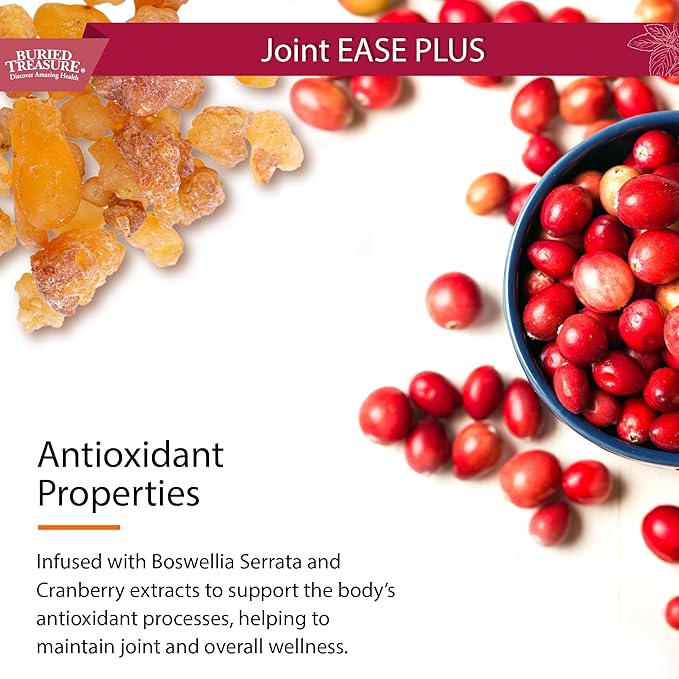 Buried Treasure Joint Ease Plus - 16 fl oz, Glucosamine Chondroitin with MSM and Turmeric, Joint Support Supplement