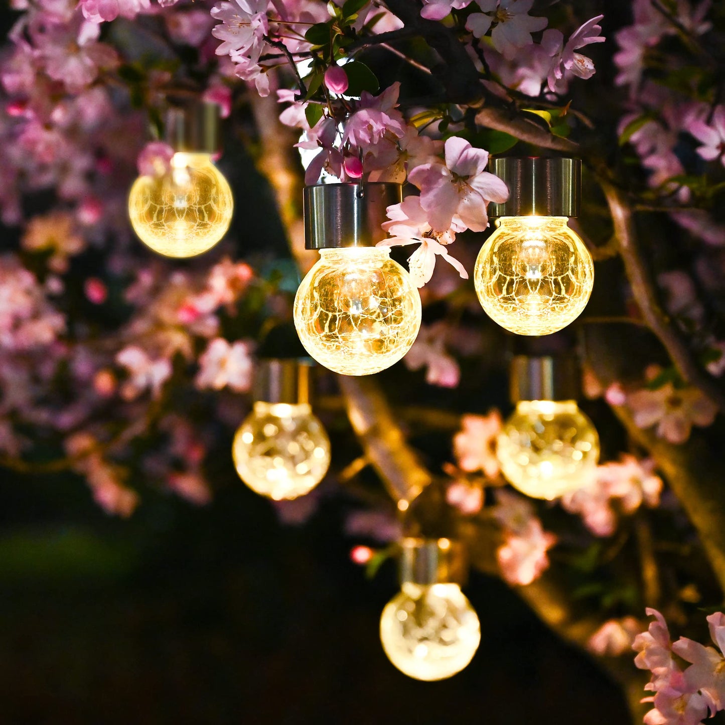 Solpex Hanging Solar Globe Lights, 8 Pack, Warm White  ed Glass, Waterproof Outdoor Lighting For Garden, Patio, Lawn, Model 8C-Xin-N