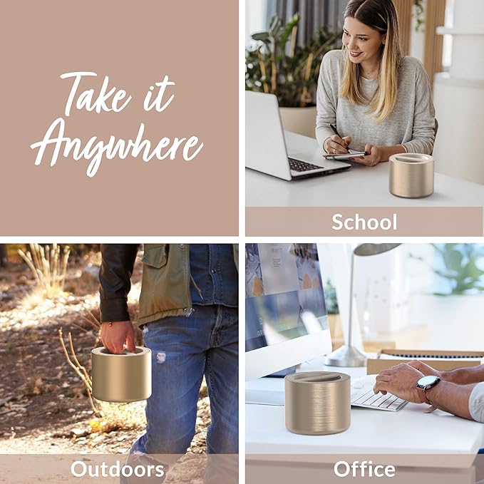 Bentgo Stainless Insulated Food Container - 2.4 Cups (19 oz), Triple-Layer Insulation, Vacuum Seal, Leak-Proof, Built-In Handle, Wide Opening, Premium Stainless Steel, for Cool/Warm Foods (Gold)