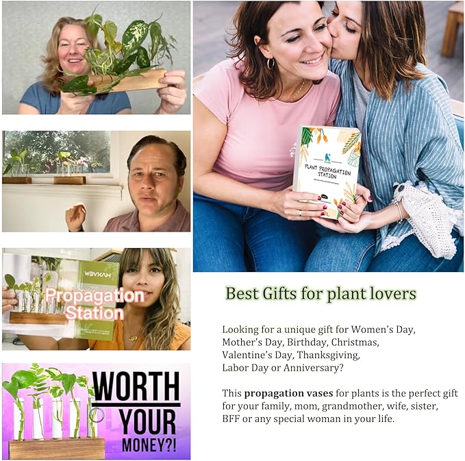 KAXYEW Plant Propagation Station, Plants Propagation Tubes, Gifts for Plant Lovers, Plants Cutting Holder Test Tube Vase Office Desk Garden Décor Gift for Her Mom Women Hydroponic Vase Gift Box
